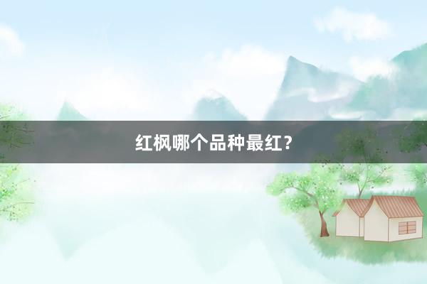 红枫哪个品种最红？