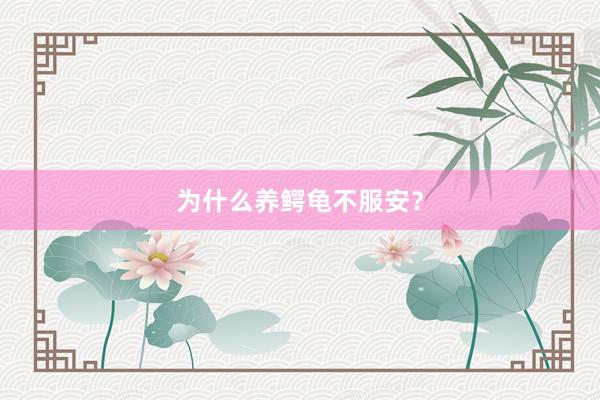 为什么养鳄龟不服安？